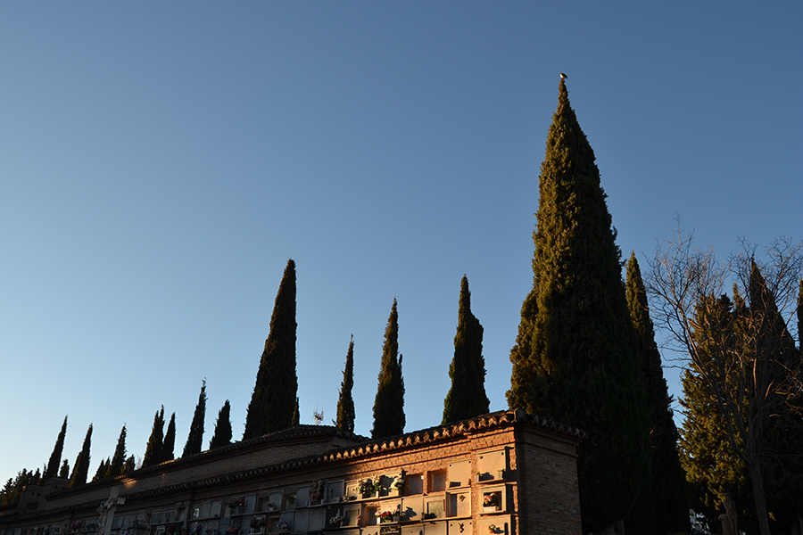 Conoce el Cementerio de Granada